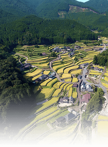 風景